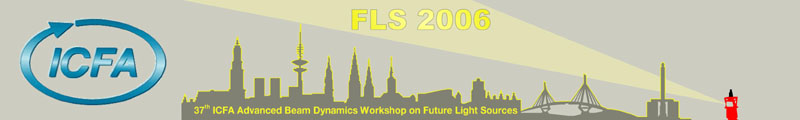 FLS Workshop